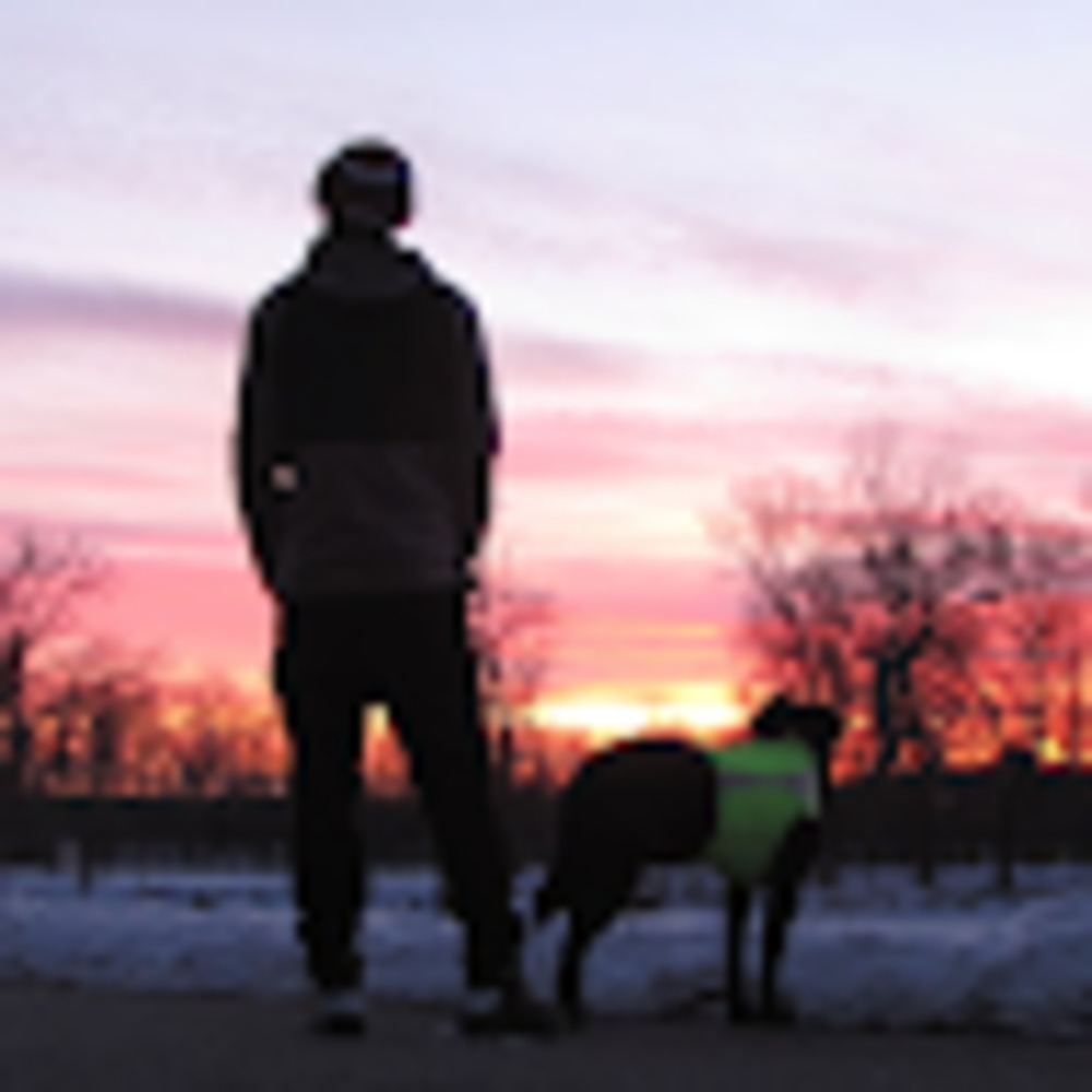 Meet your Posher, Onyx